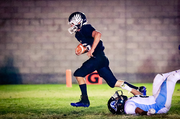 mcsHC2013-088