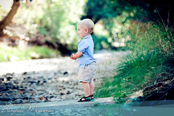 berkson2013-015