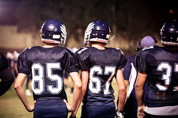 mcsHC2013-068