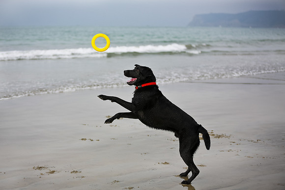 beachshoot-careysfaves-011