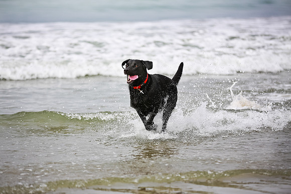 beachshoot-careysfaves-008