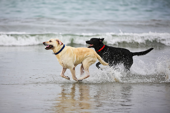 beachshoot-careysfaves-013