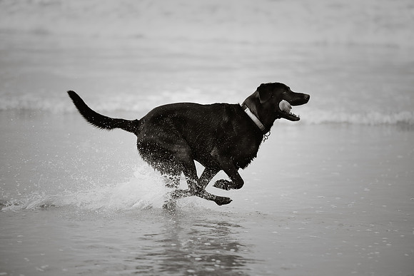 beachshoot-careysfaves-002