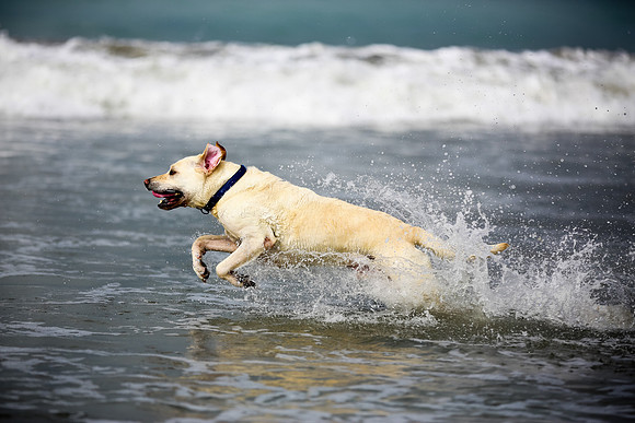beachshoot-careysfaves-004