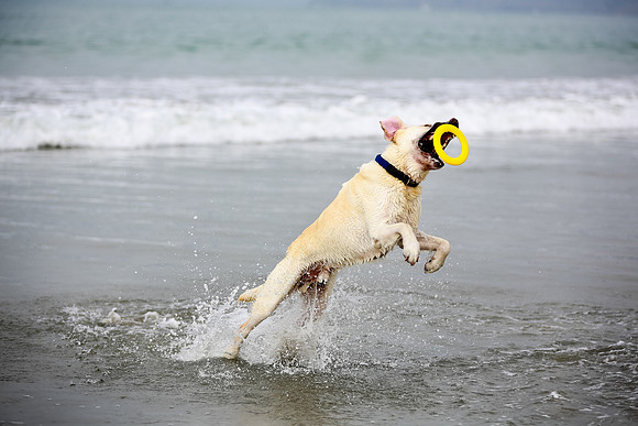 beachshoot-careysfaves-010