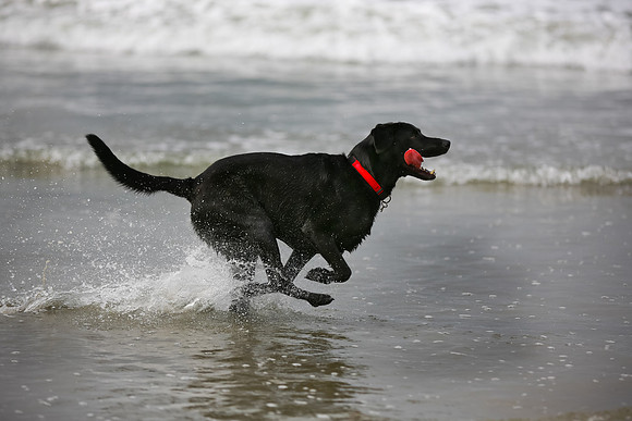 beachshoot-careysfaves-001