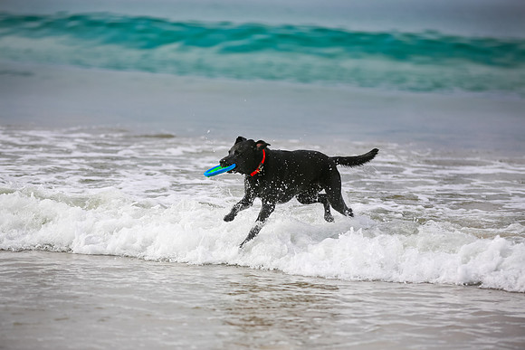 beachshoot-careysfaves-003
