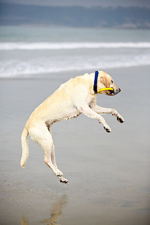 beachshoot-careysfaves-009