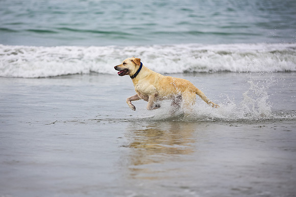 beachshoot-careysfaves-012