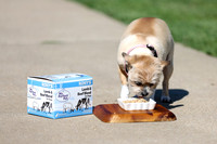 14June2024-b-MPP-3