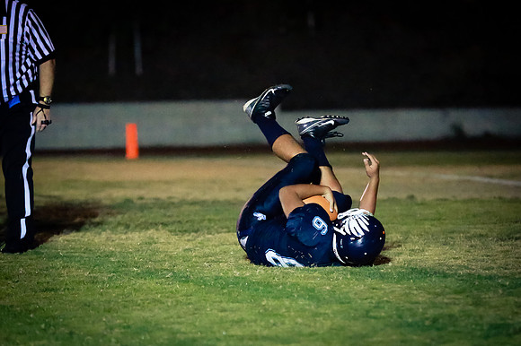 mcsHC2013-082