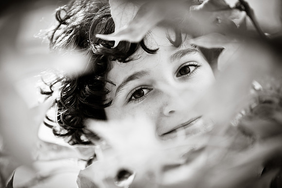 sencan2013-064