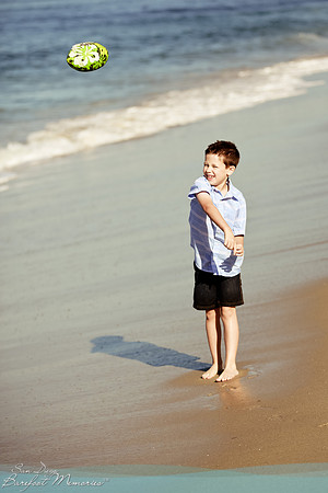steer-091