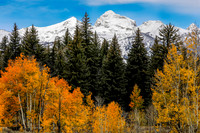 Trash Can Teton Farewell
