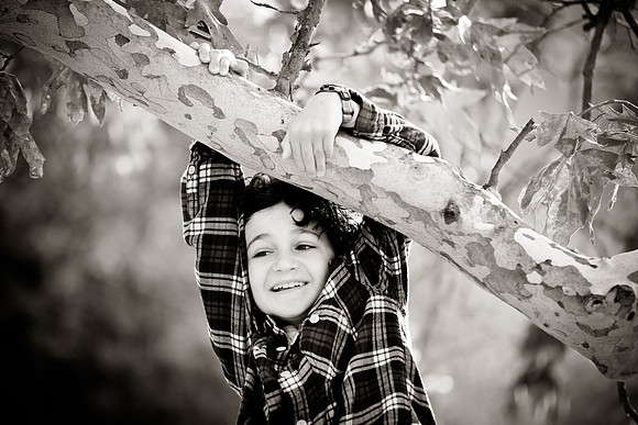 sencan2013-050
